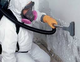 Reliable Water Mill, NY Mold Removal Solutions